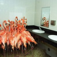 Smelling Burnt Toast